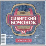 nowosibitbaltik (8).jpg